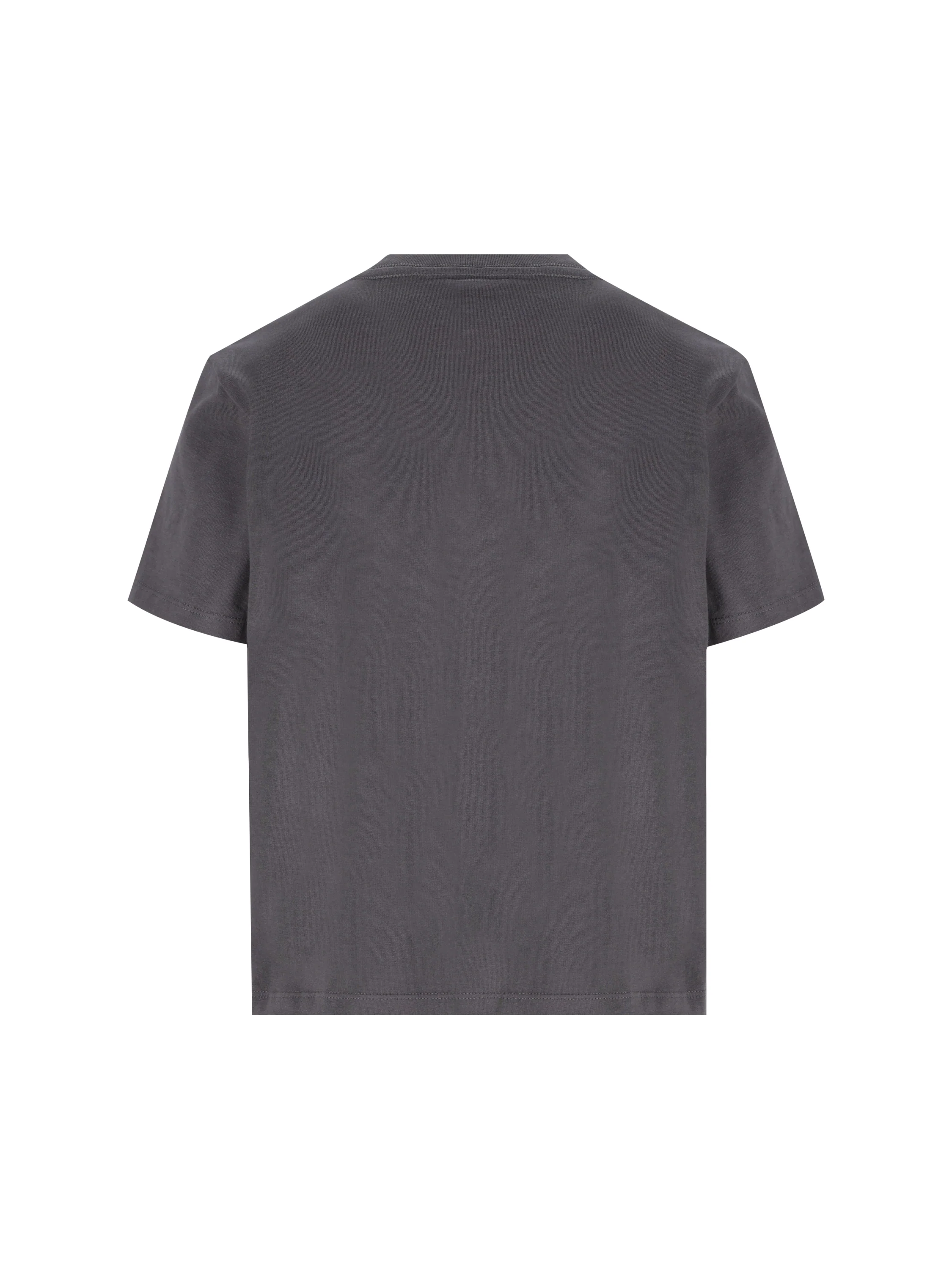 T-Shirt realizzata in cotone. NF0A8GR1 RHI1 THE NORTH FACE