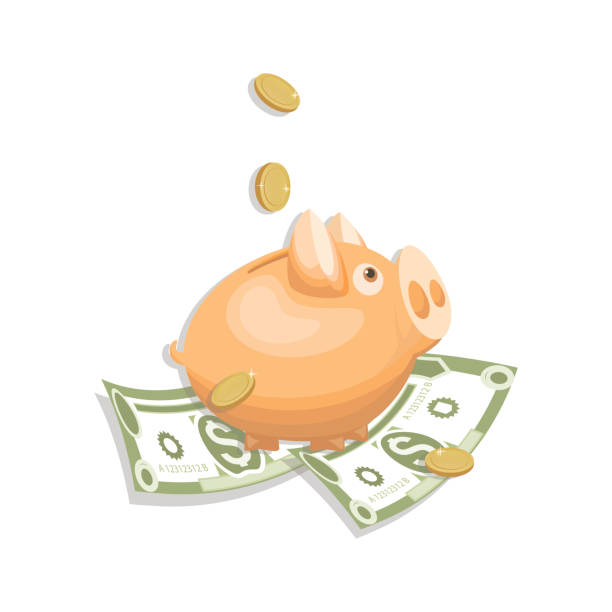 65usd for rolex watch 65usd for rolex watch